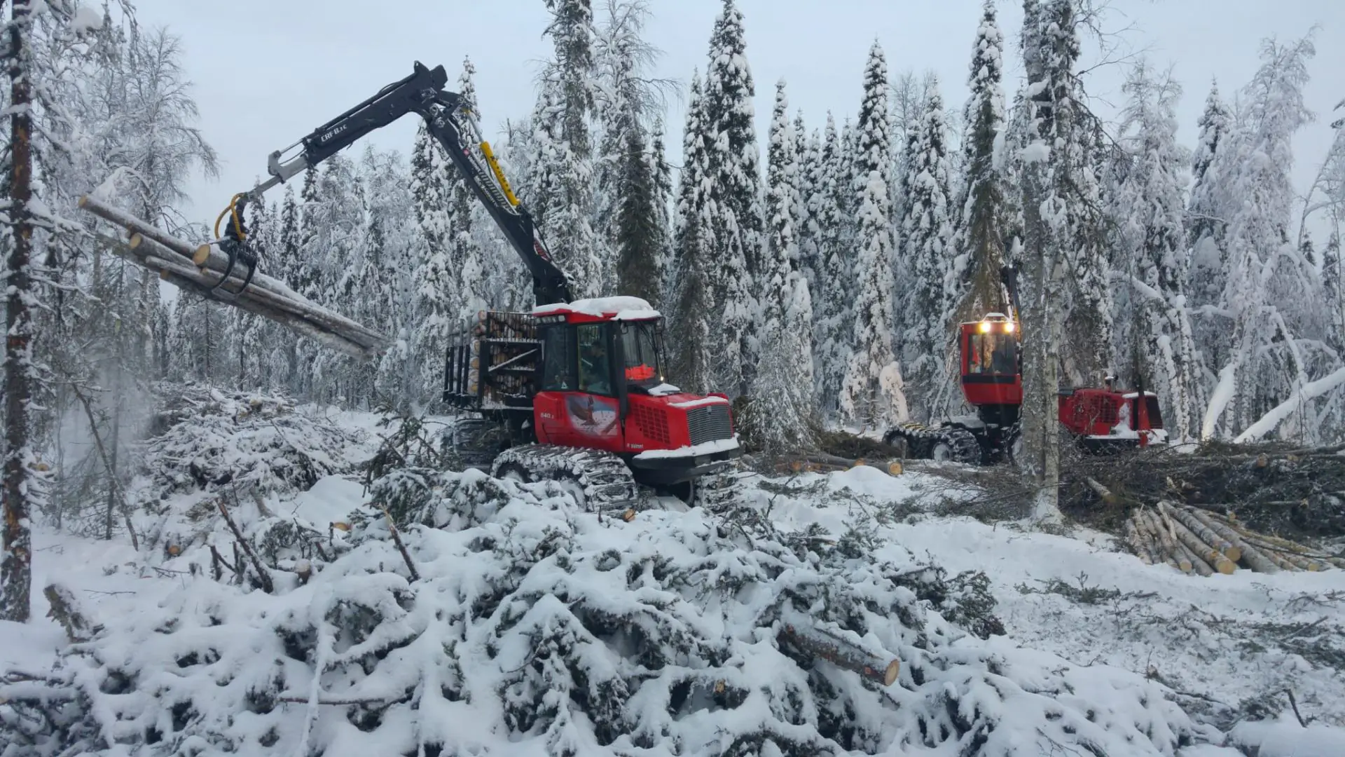Harvennustyö lumisessa metsässä