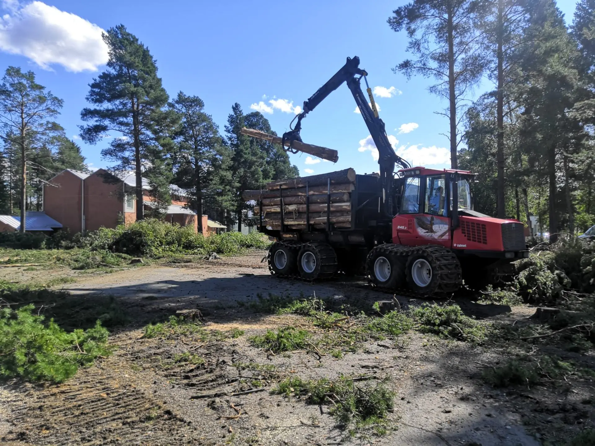 Metsäkone kesällä